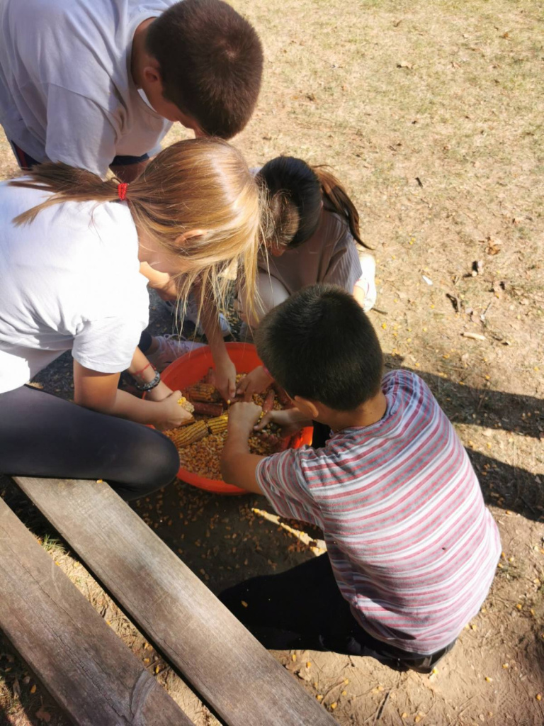 IMG-cdcddd2aa1272cee8b137dcd8058e1ec-V.jpg IMG-cdcddd2aa1272cee8b137dcd8058e1ec-V.jpg